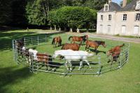 Panel et paddock JOURDAIN